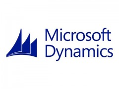 Microsoft Dynamics CRM Server - Software